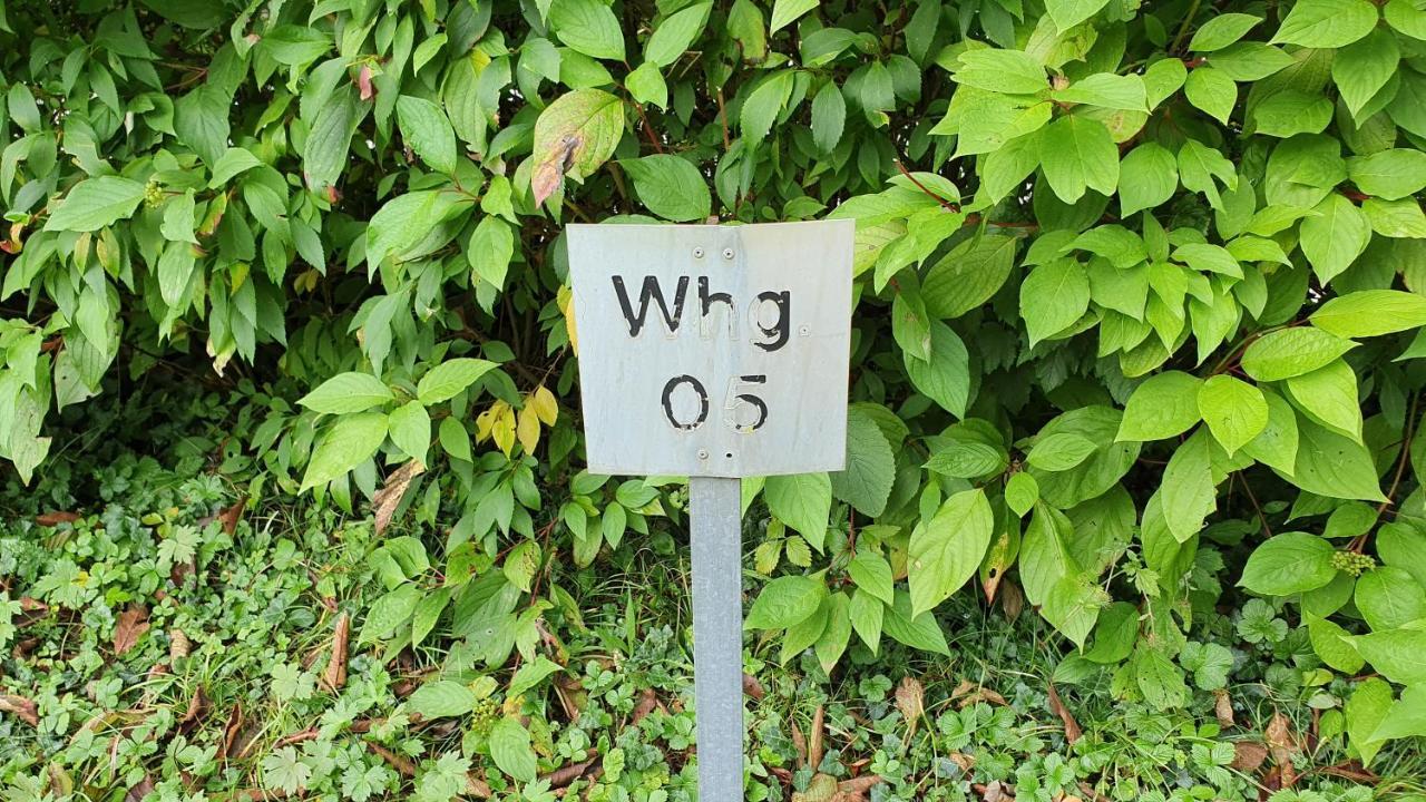 Ferienwohnung Fuer 5 Personen In Wasserburg エクステリア 写真